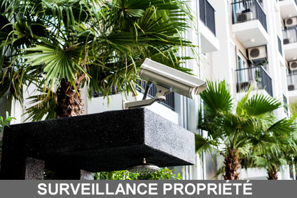 Surveillance propriété
